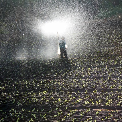 Fertilizantes