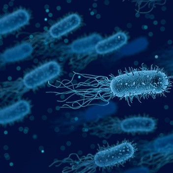 Microbiologia