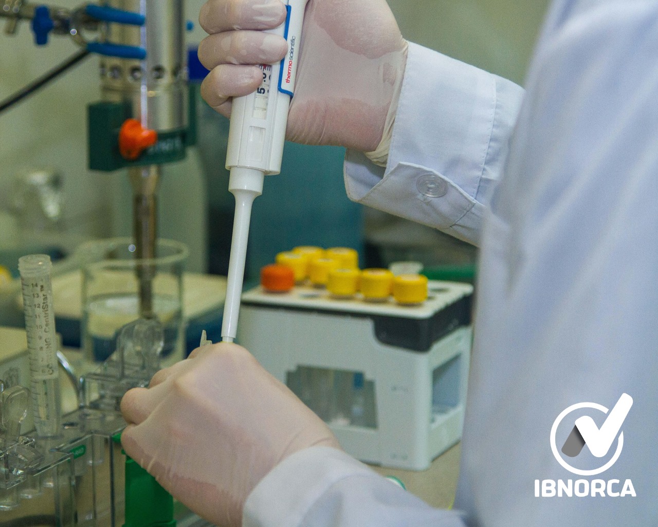  Métodos de análisis microbiológico en alimentos