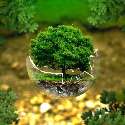Medio Ambiente